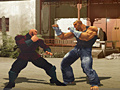 খেলা The Perfect Fighter