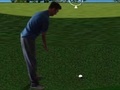 খেলা Flash Golf 3D