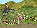 খেলা Motorcycle Rally