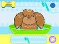 খেলা Dog Hairdresser