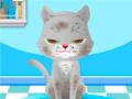 খেলা My Pet Spa