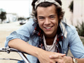 খেলা Harry Styles Spot the Difference