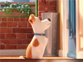 খেলা Hidden Letters in The Secret Life of Pets