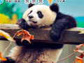 খেলা Animal Habitats: Find Items
