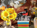 খেলা Crazy Cat Lady