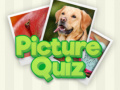 খেলা 100 Pics