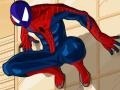 খেলা Spiderman Costume