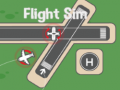 খেলা Flight Sim