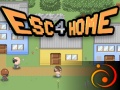 খেলা Esc 4 Home