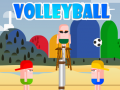 খেলা VolleyBoll