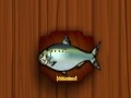 খেলা Amateur Action Super Fishing