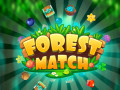 খেলা Forest Match