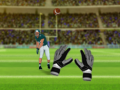 খেলা American Football Challenge