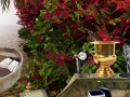 খেলা The Prize Winning Garden