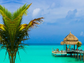 খেলা Tropical Paradise