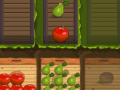 খেলা Fruit Gardener