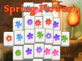 খেলা Spring Flower