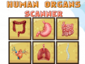 খেলা Human Organs Scanner