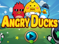 খেলা Angry Ducks