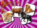 খেলা Domestic Animal Memory Challenge