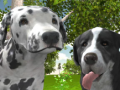 খেলা Dog Simulator 3d
