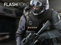 খেলা Flashpoint