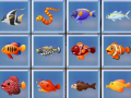 খেলা Find The Fish