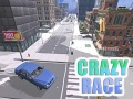 খেলা Crazy Race