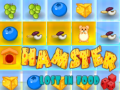 খেলা Hamster Lost In Food