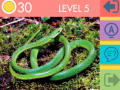 খেলা 15 Picture Quiz