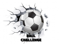 খেলা Ball Challenge