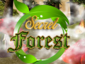 খেলা Secret Forest