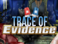 খেলা Trace of Evidence