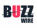 খেলা Buzz Wire