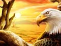 খেলা Eagle