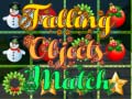 খেলা Falling Objects Match 