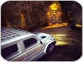 খেলা Scary Car Driving Simulator