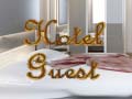 খেলা Hotel Guest