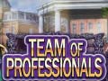 খেলা Team of Professionals