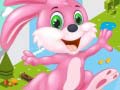 খেলা Bunny Run