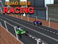 খেলা Quad Bike Racing