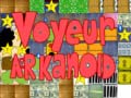 খেলা Voyeur arkanoid