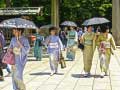 খেলা 100 Butterflies in Japan
