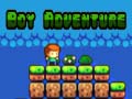 খেলা Boy Adventure