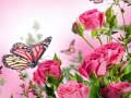 খেলা Butterflies Puzzle