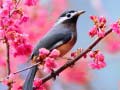 খেলা Lovable Birds