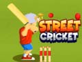 খেলা Street Cricket