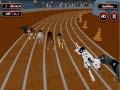 খেলা Crazyl Dog Racing Fever