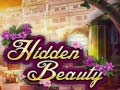 খেলা Hidden Beauty