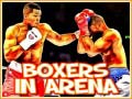 খেলা Boxers in Arena